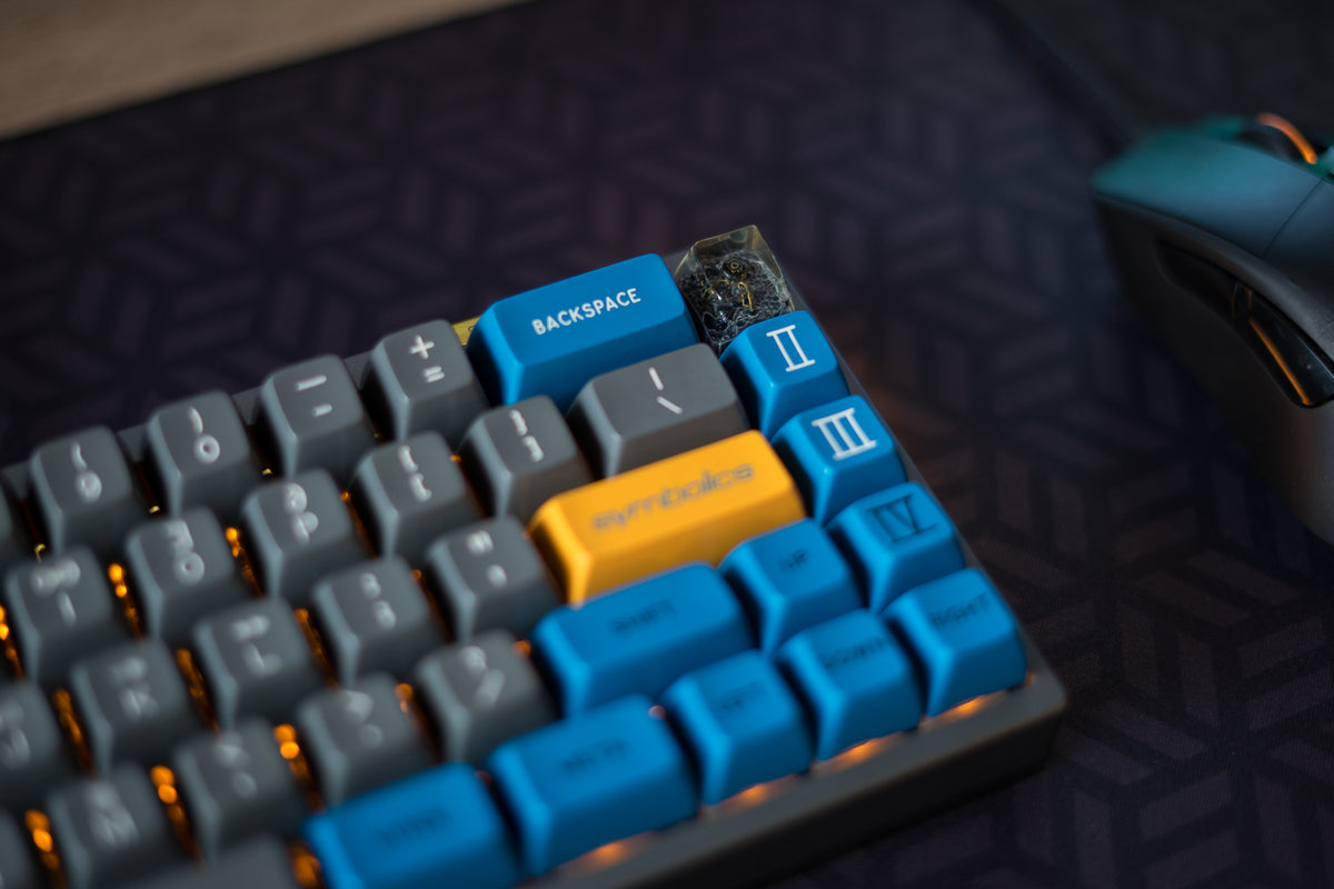 E6.5